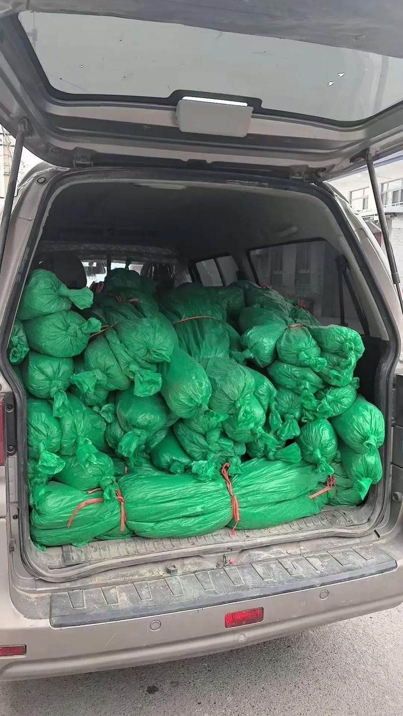 凤山县盖土网批发零售 防尘网土工网优选服务商