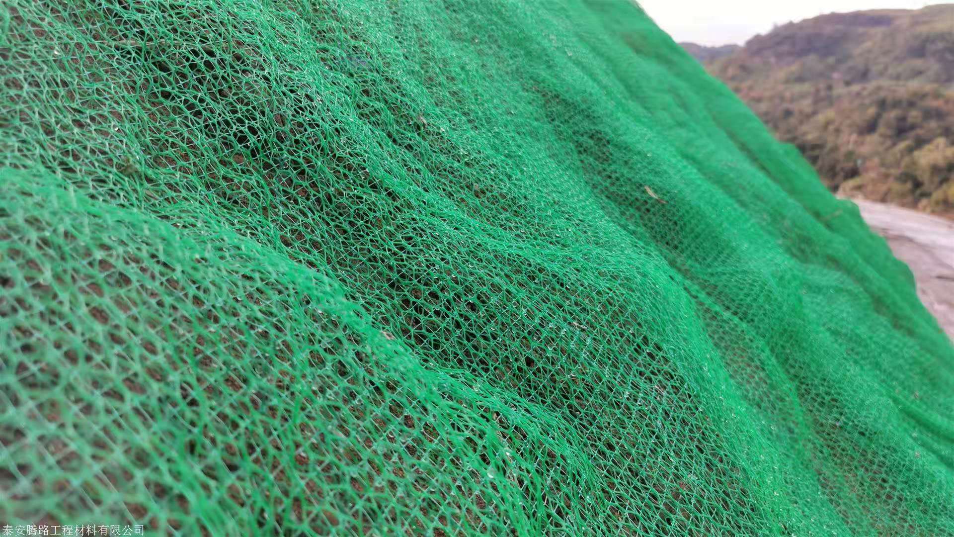 绿色三维植被网 现代护坡工程的生态卫士与选择指南