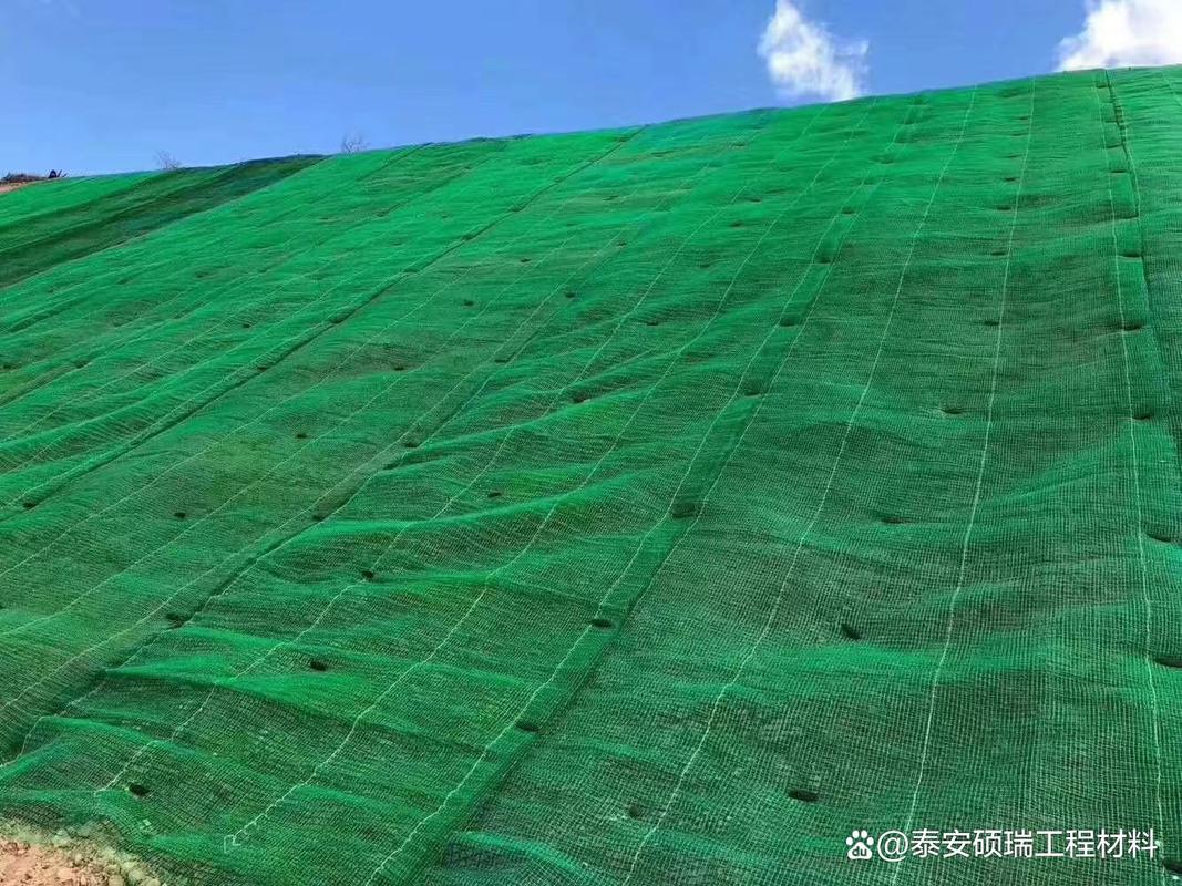 兰州三维土工网垫与甘肃护坡绿化 土工格栅在现代生态工程中的应用