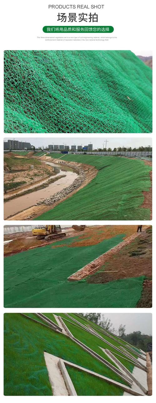 em4国标三维植被网 土工网垫护坡绿化 稳固水土